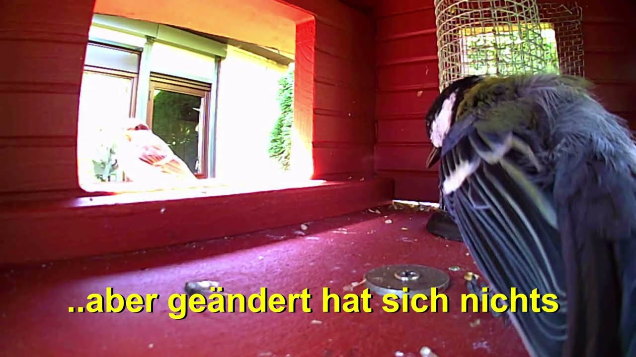 Zoff am Futterhaus