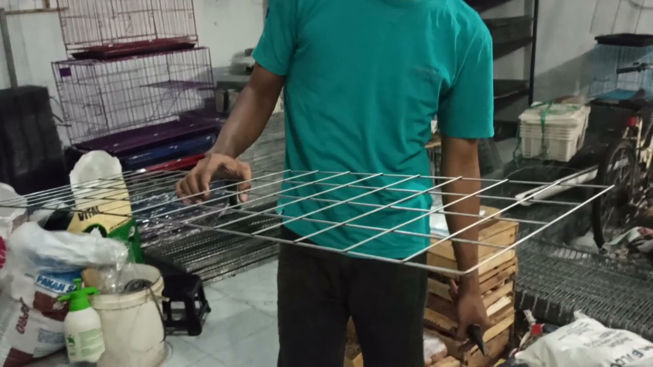 Cara merangkai kandang ayam petelur isi 8
