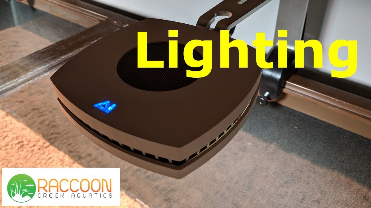 Planted Tank Lighting: AI Prime LED's | Step-By-Step 125 Gallon Planted Tank Set Up | Episode 3