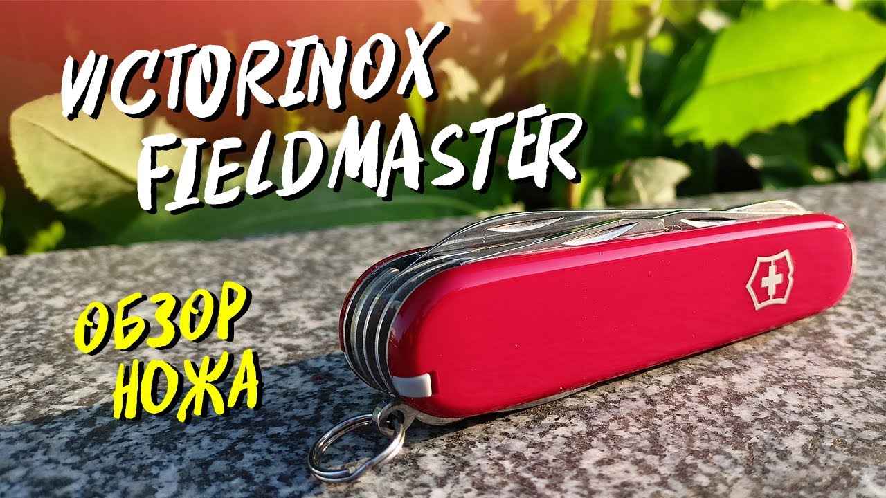 VICTORINOX Fieldmaster. Обзор ножа.