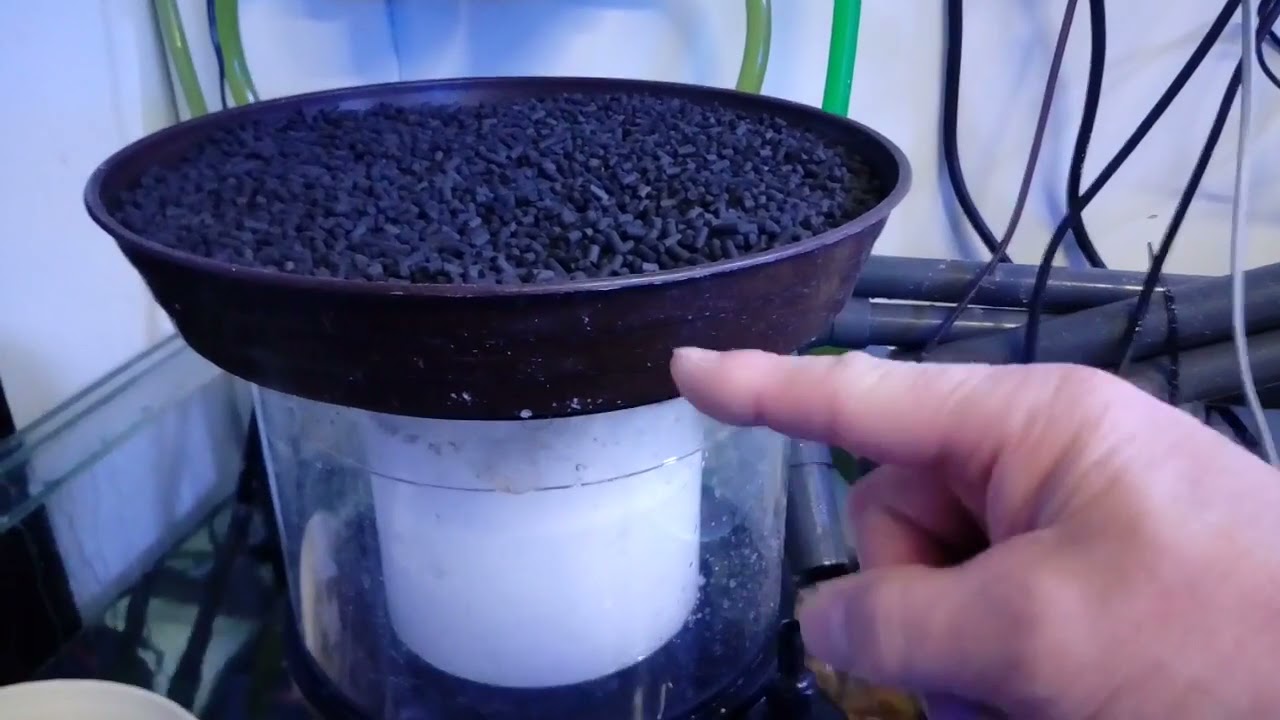 Kirchhauser Aquaristik im Vivarium 10 Ozon/UVC
