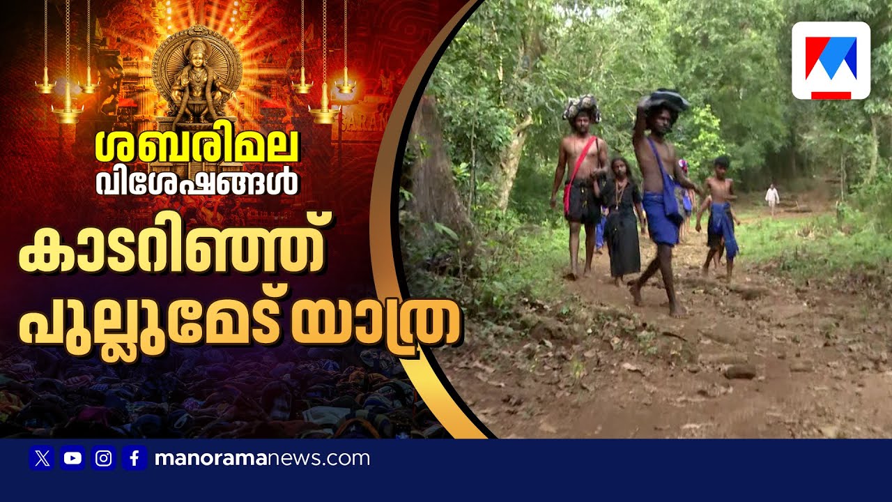 കാട്ടാനയും കടുവയുമുള്ള കാനനപാത; പുല്ലുമേട് കാനനപാത തുറന്നു, ആദ്യദിനം എത്തിയത് ആയിരത്തിലധികം പേർ