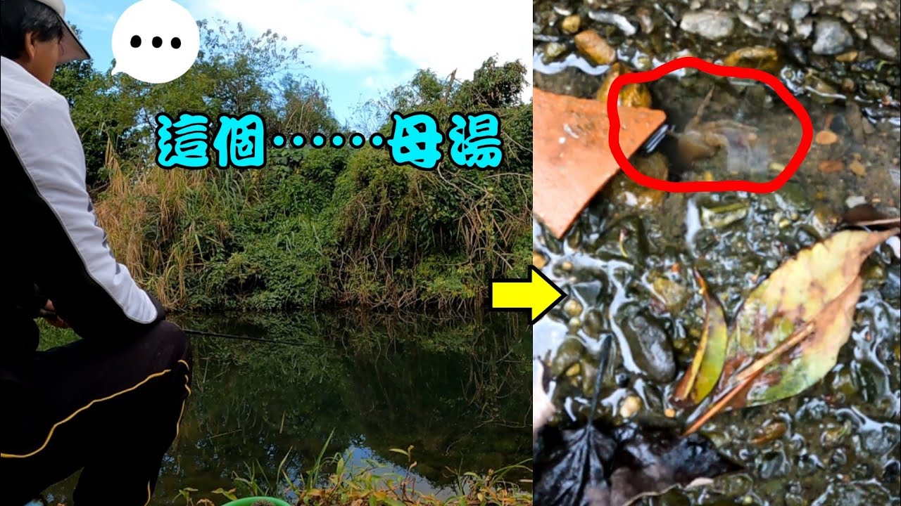 菜園彌漫奇怪的氣息，只好捅洞去！