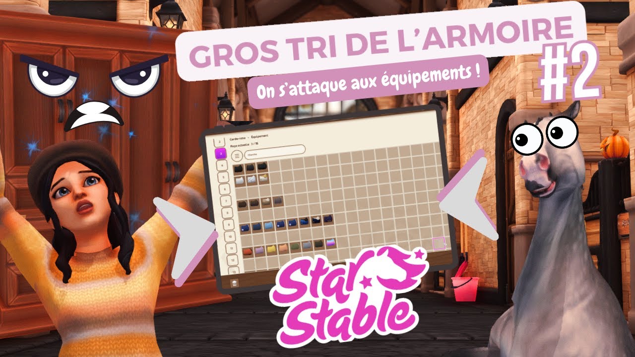J'AI MIS 2h À TRIER L'ARMOIRE 😭 - Ménage d'automne #2 (Star Stable Online)