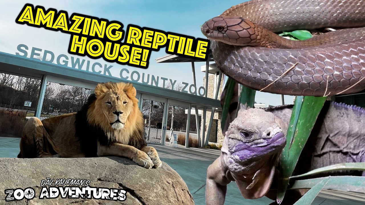 AMAZING REPTILE HOUSE at the Sedgwick County Zoo!