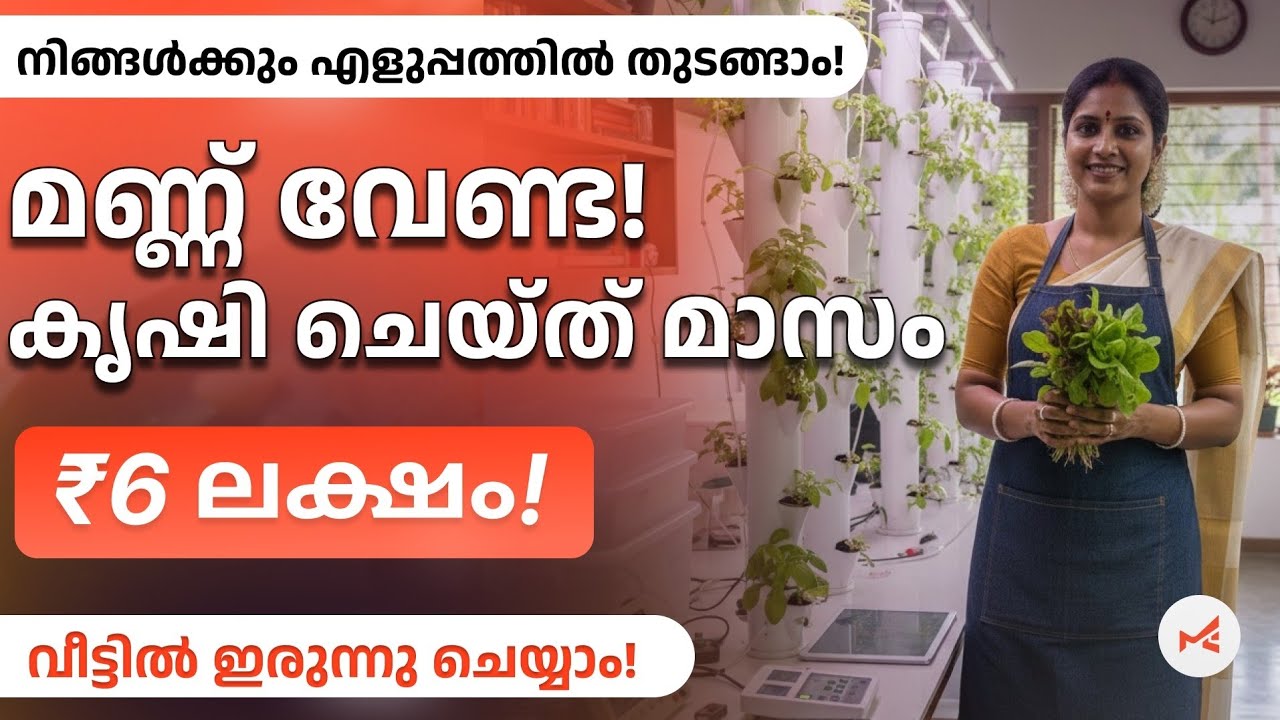Aeroponics കൃഷി എങ്ങനെ ചെയ്യാം | Aeroponics Farming Business