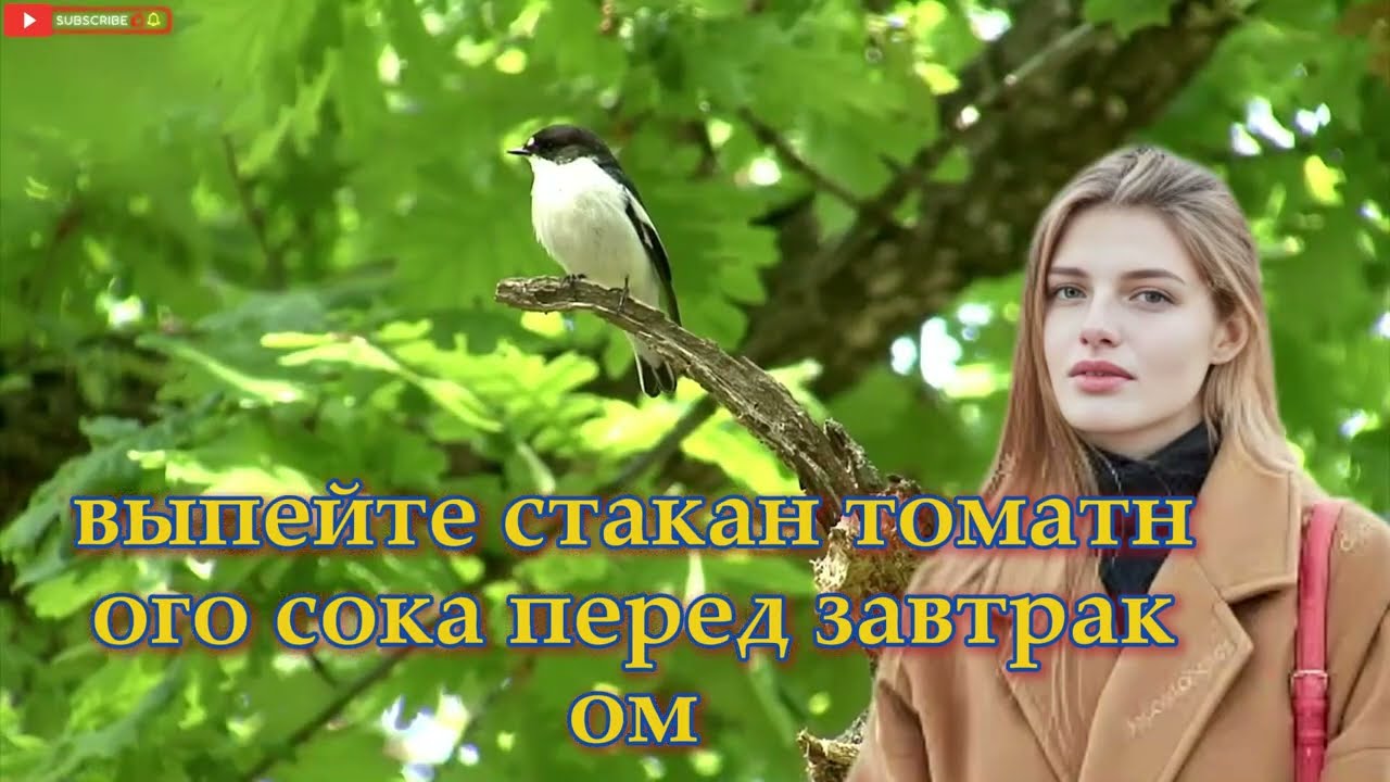 Каждый пожилой человек должен увидеть это видео | Мудрость стоицизма
