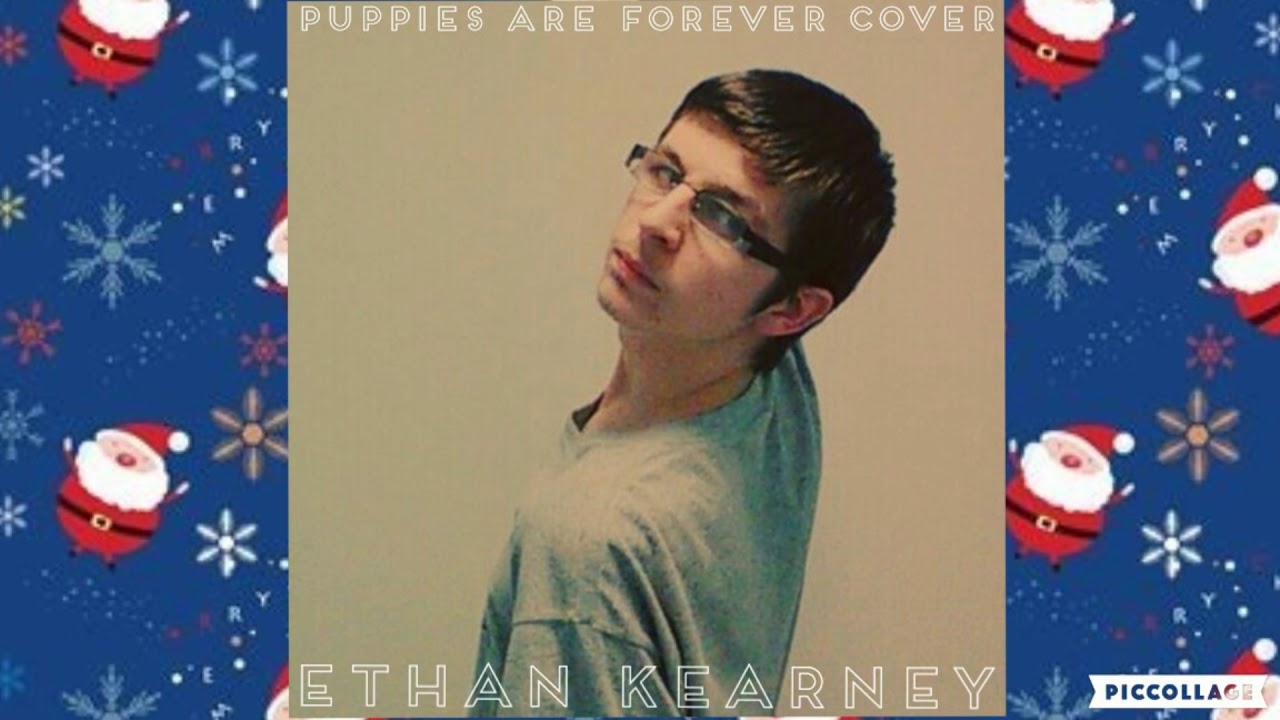 SIA - Puppies Are Forever Cover [AUDIO] (Everyday Is Christmas)