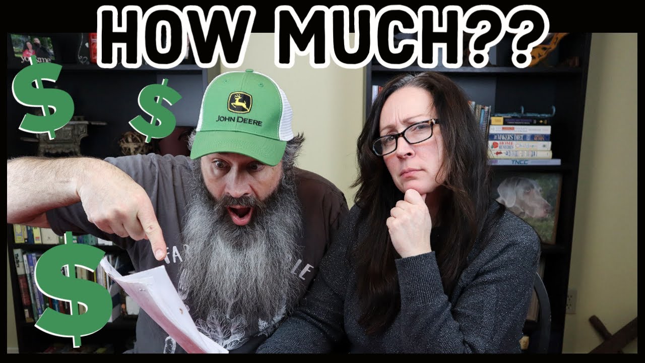 How Much Does It Cost To Raise Pigs?