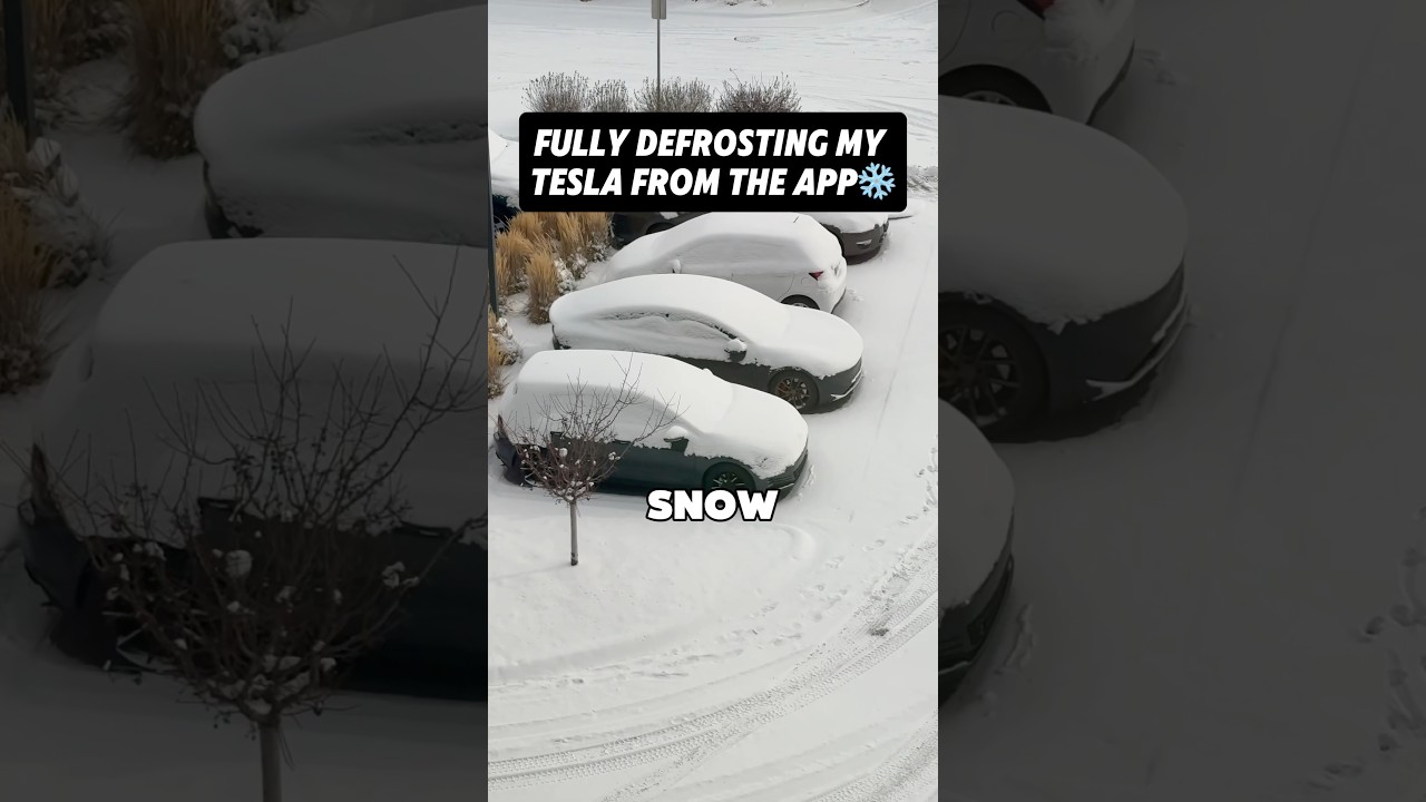 My Tesla&rsquo;s Remote Defrosting Saves So Much Time! ❄️📱