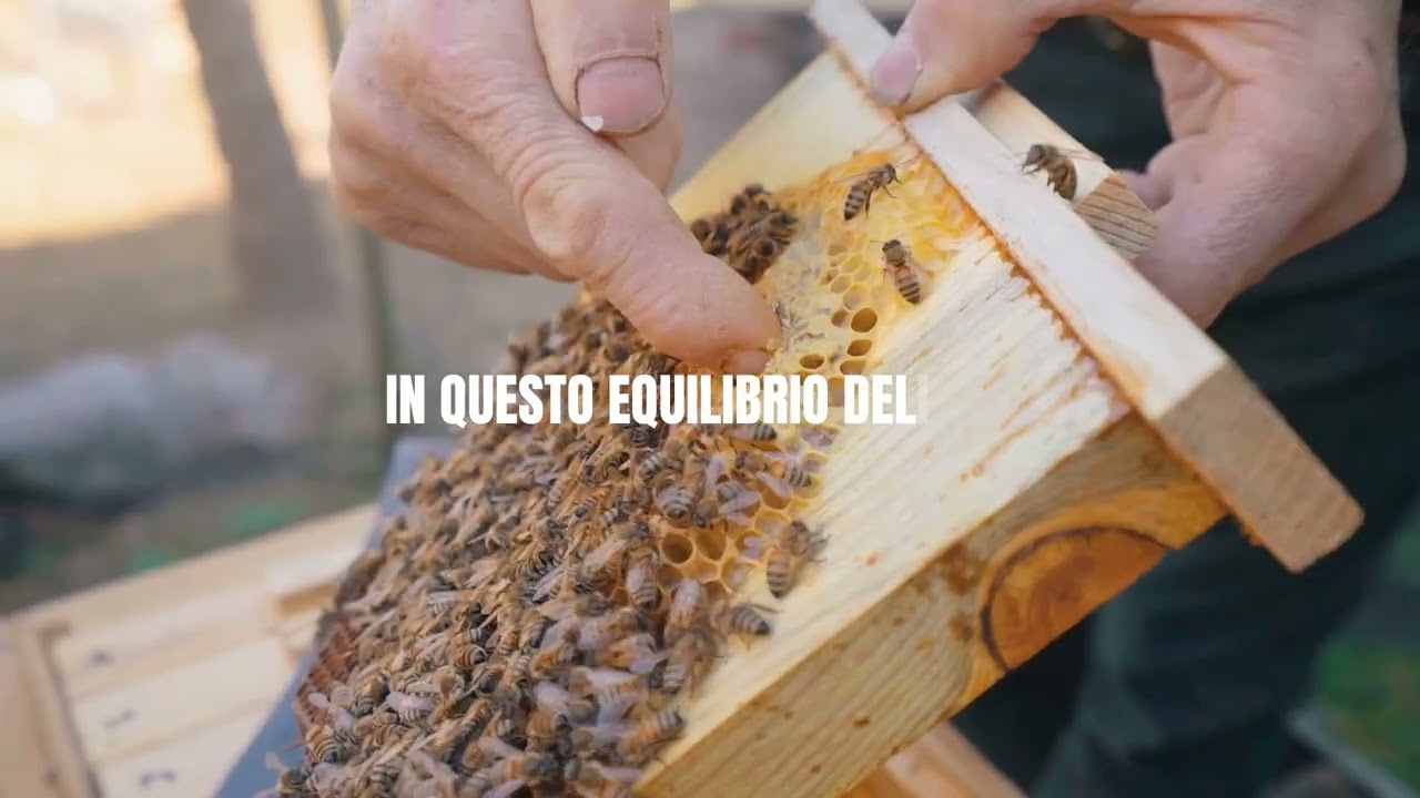 Il gusto autentico di montagna