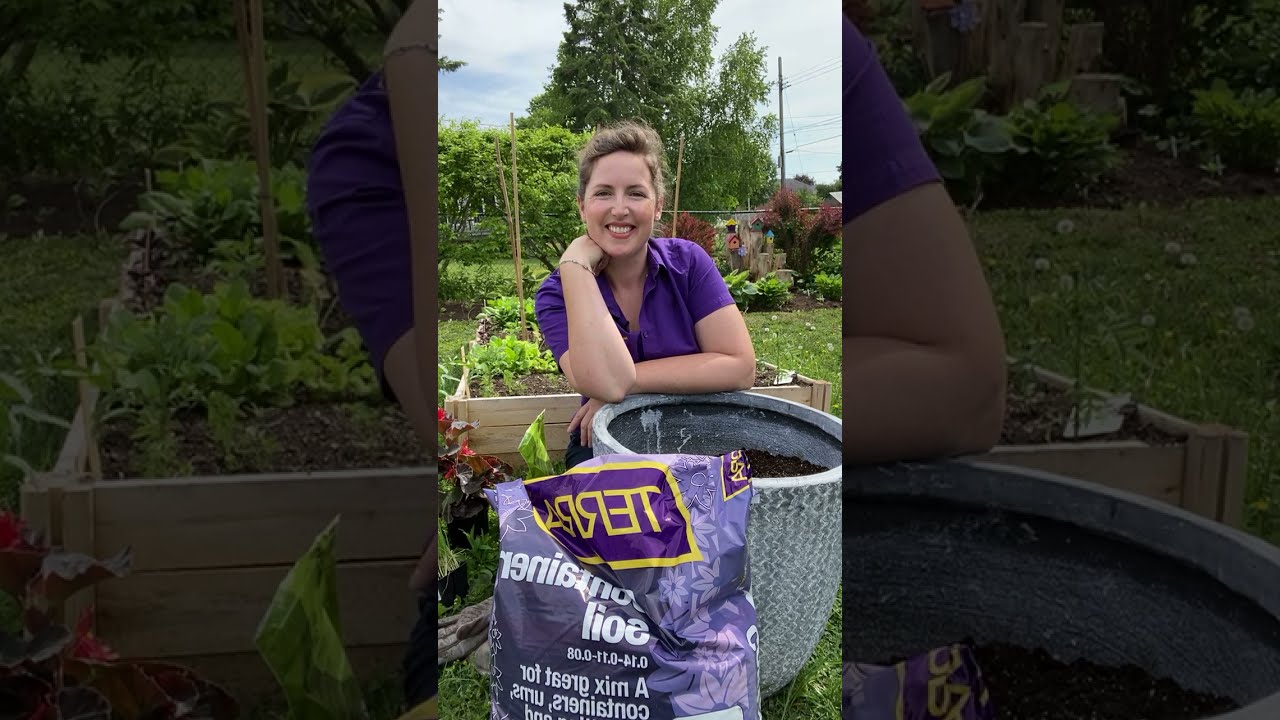 Instagram LIVE: Salsa Garden in a Container
