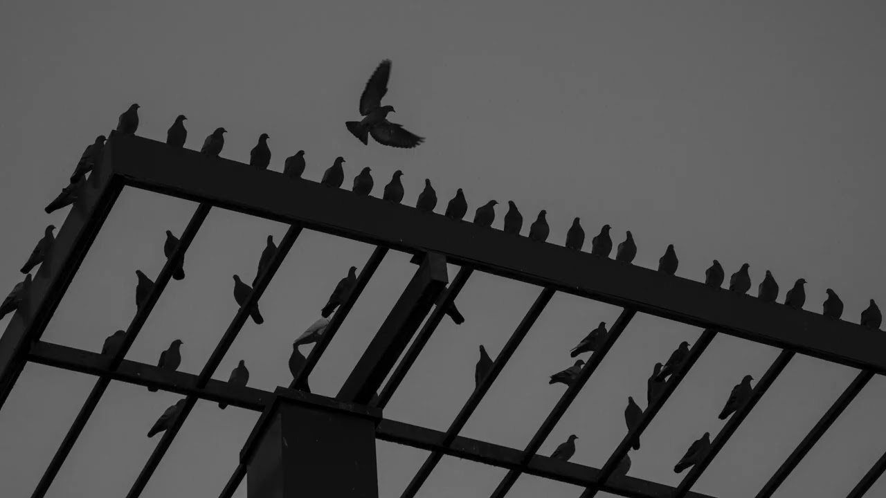 Bad Art - Aeg On Raha (feat. Ronan Ild)