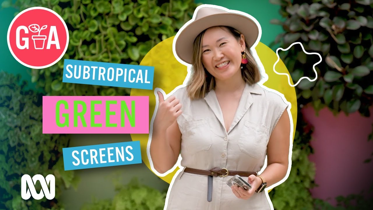 Subtropical Green Garden Screens | Garden Design & Inspiration | Gardening Australia