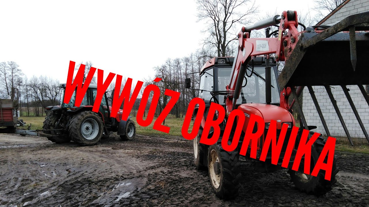Śmierdząca robota. Obornik 2020