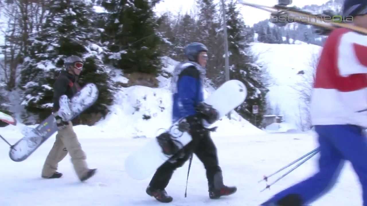 Ahorn Immo GmbH - Gerlafingen - Ski- und Ferienh&auml;user