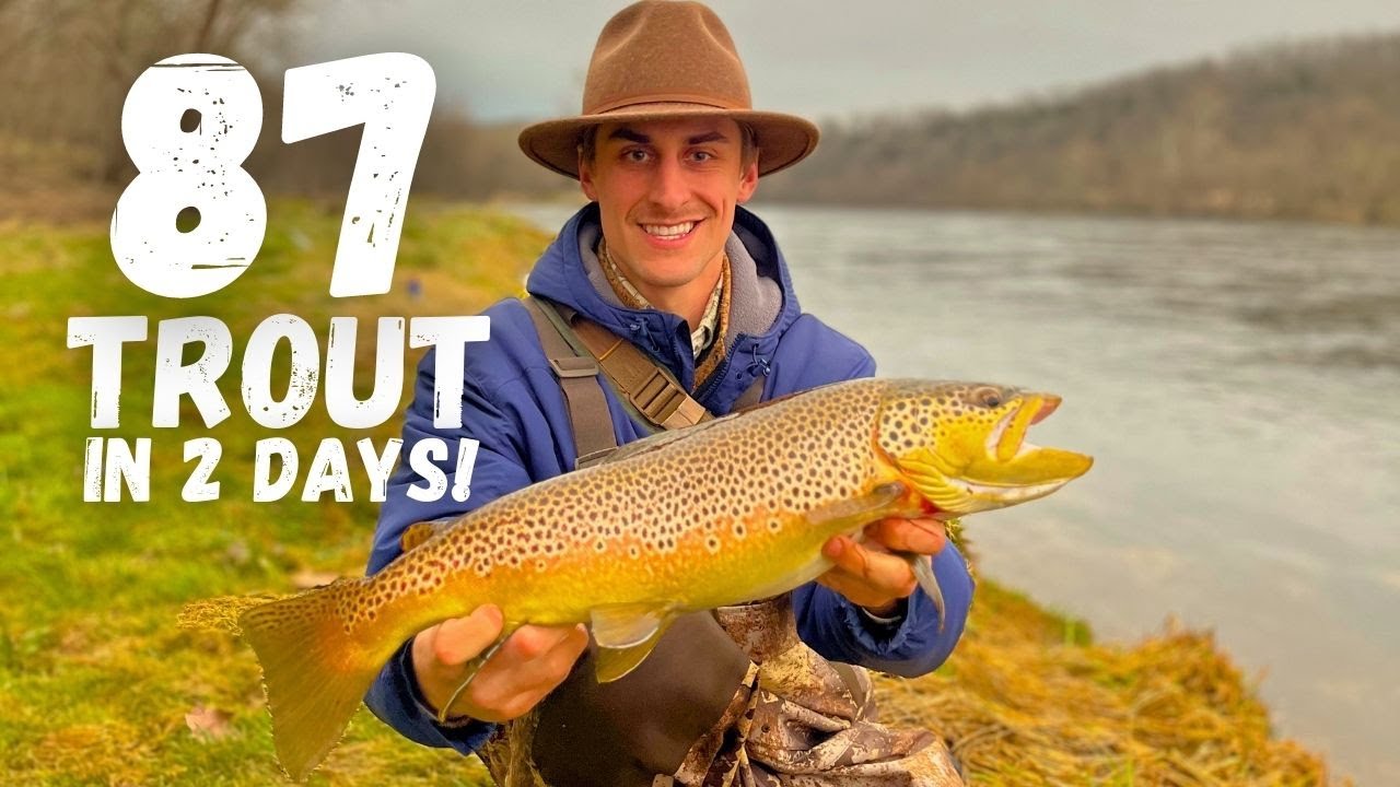 BIG Brown Trout Fishing on the White River - Bull Shoals, Arkansas