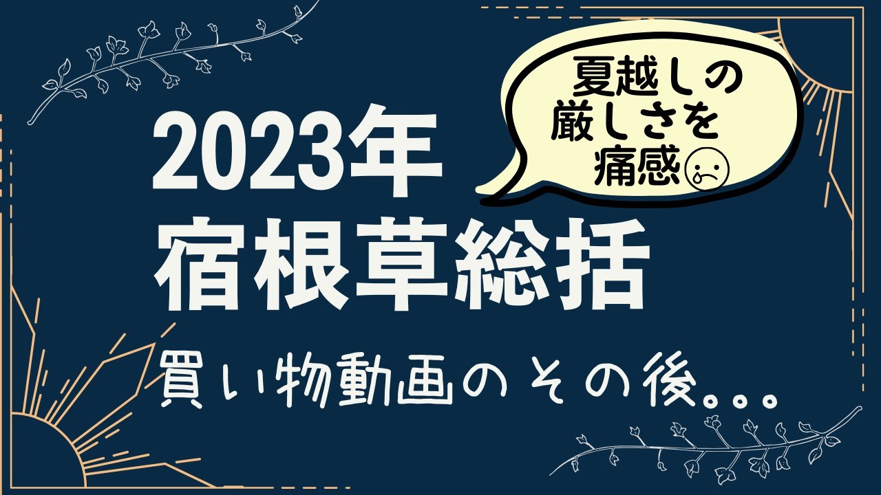 《2023年笑い納めｗ今年もいっぱい買って。。。チーン連発》2022年秋～2023年春に買って植え付けた宿根草のその後／最高の宿根草との出会いもありました