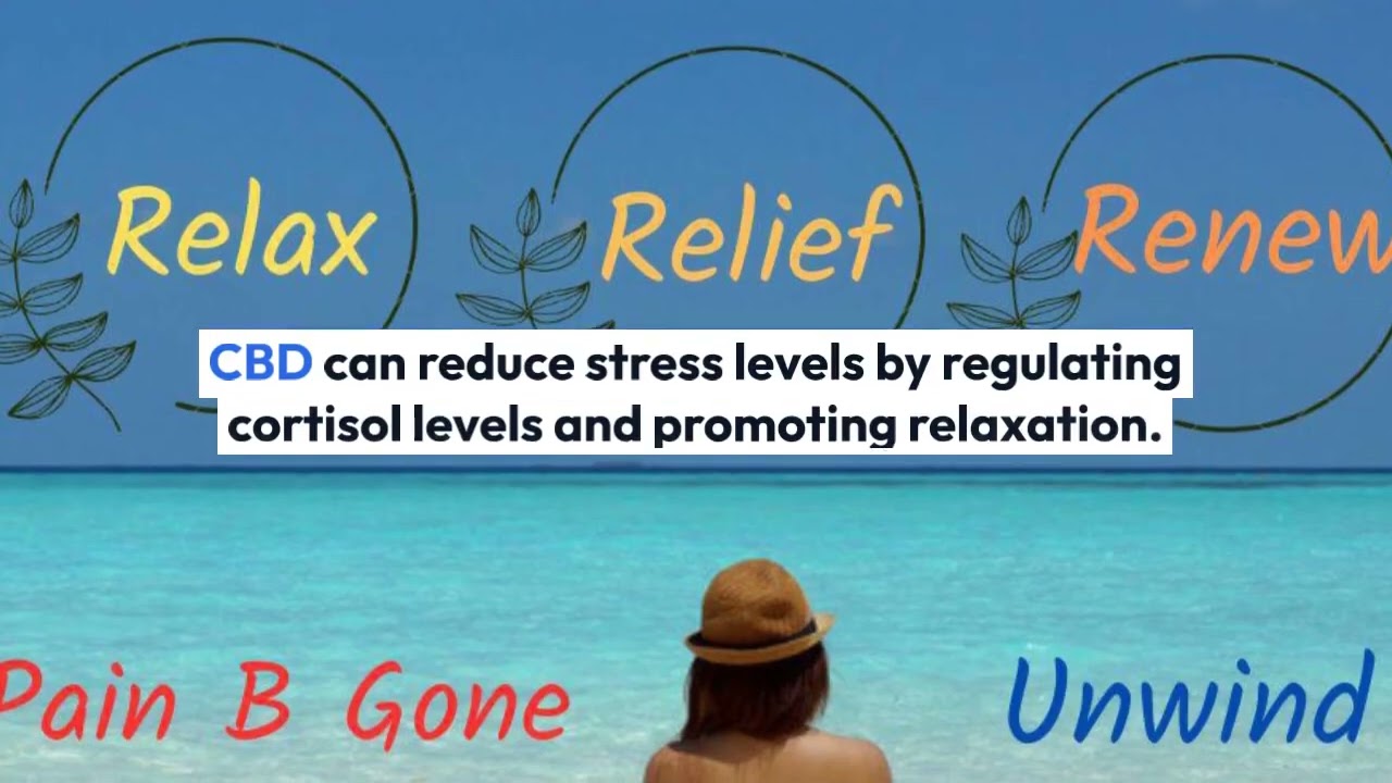Cbd Relief for Anxiety, Chronic Pain, Stress and Insomnia