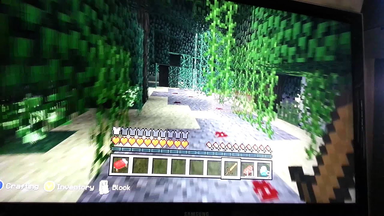 Minecraft Part I  The Infected Temple