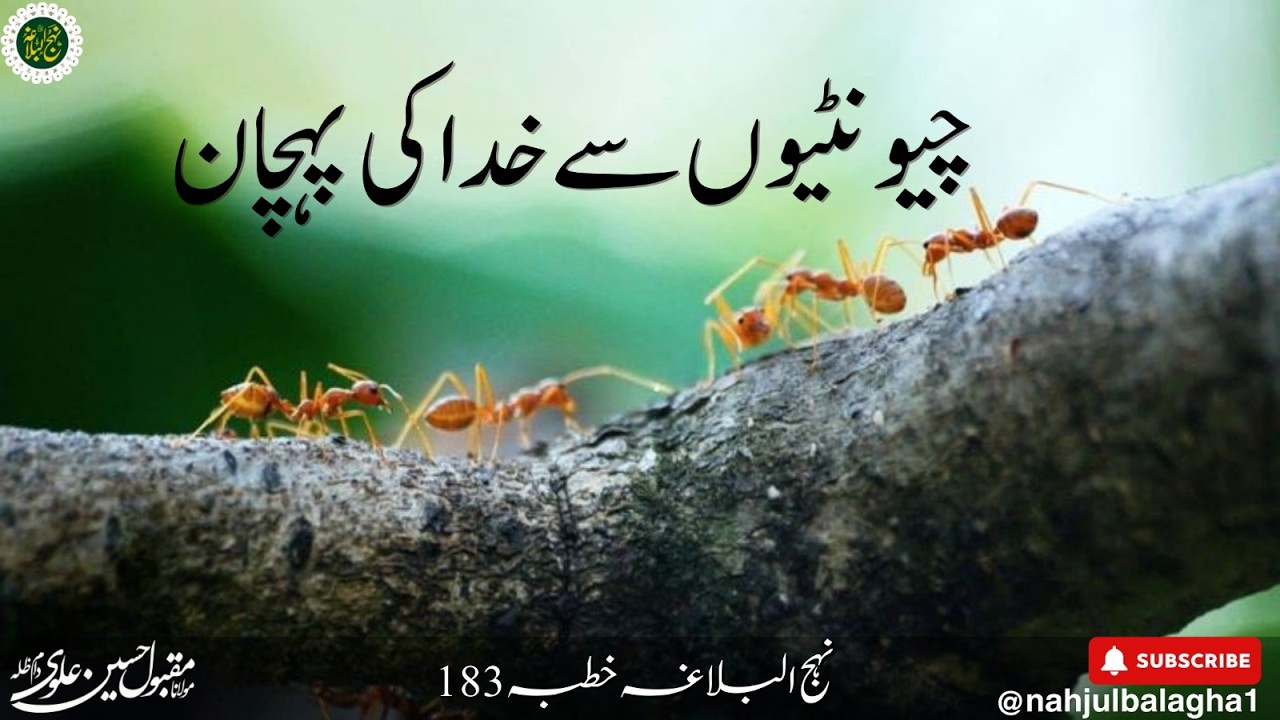 Nahjul Balagha  (نہج البَلاغہ) is live