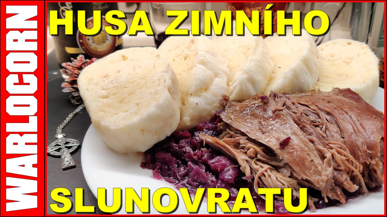 Husa zimního slunovratu