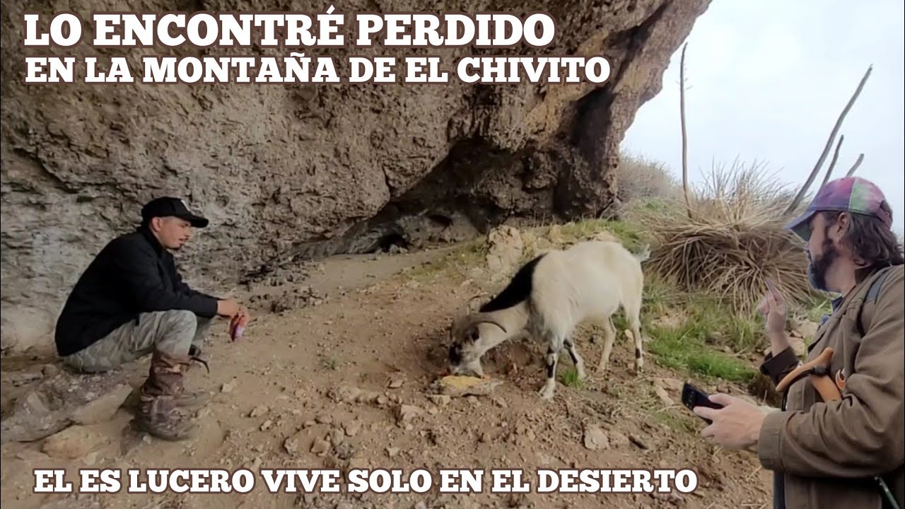 Encontré Un Hombre Perdido En La Montaña De El Chivito Lucerito De La Montaña 