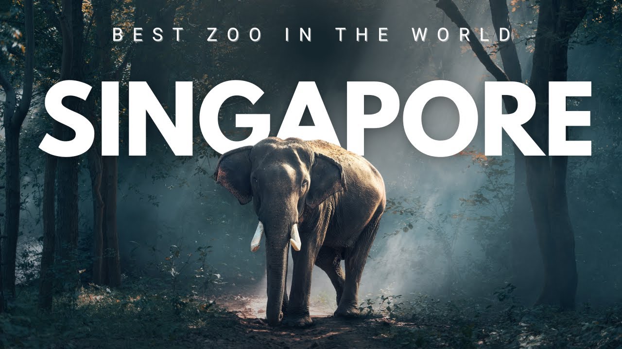 Singapore Zoo 2023 | River Wonder Singapore | The Ultimate Singapore Nature Escape