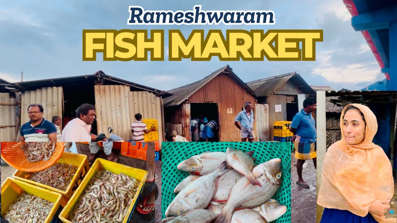 🐠Rameshwaram Fish Market vlog | Rameshwaram series Ep- 02 | Sheeru’s dining
