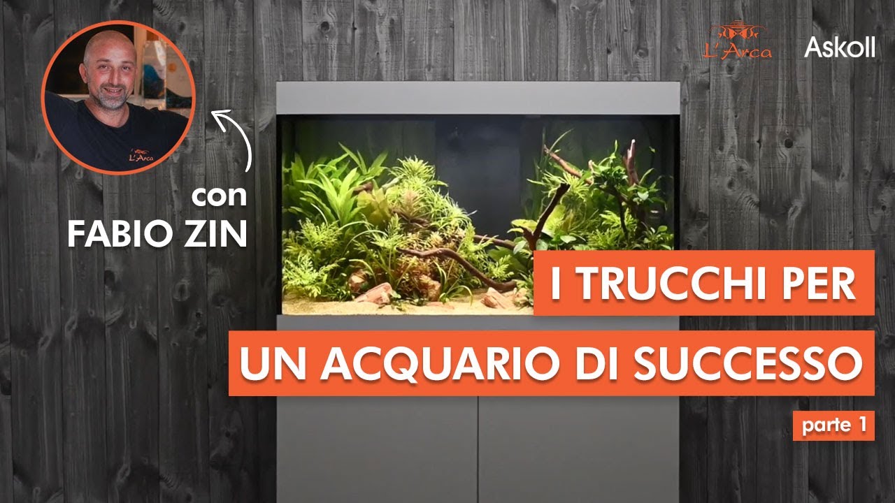ASKOLL OPERA 110 | I trucchi per un acquario di successo pt. 1