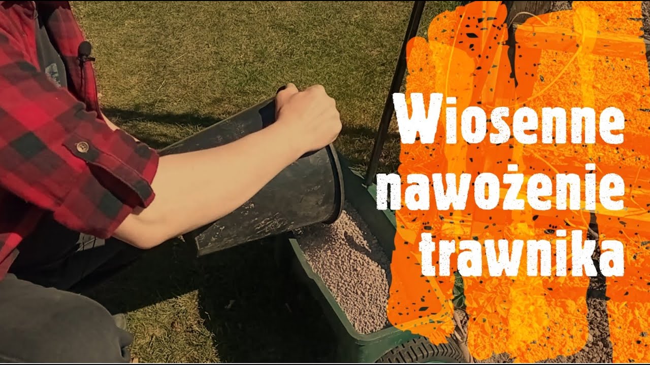 Wiosenne nawożenie trawnika