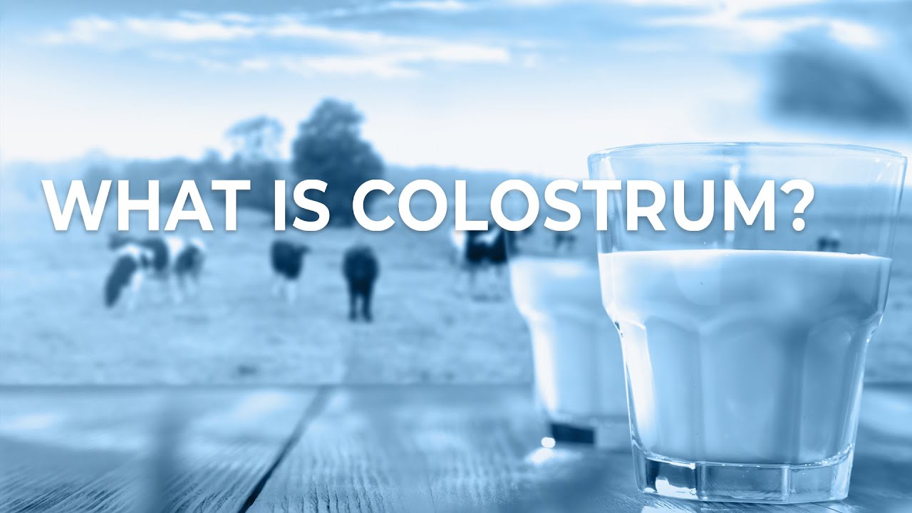 What is Colostrum