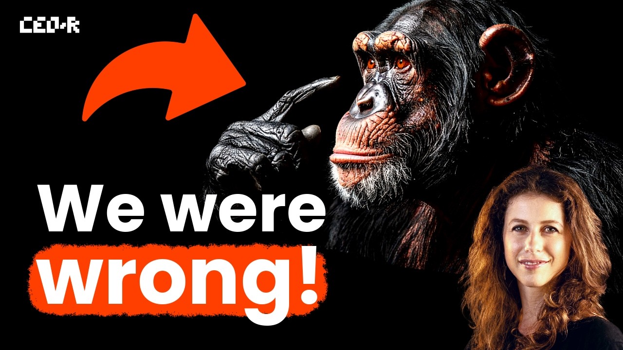 New Stunning Evidence: Chimpanzees are more rational than humans! | Dr Hanna Schleihauf