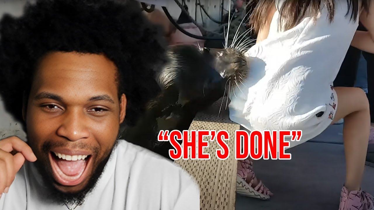 Craziest Animal Encounters of All Time Reaction