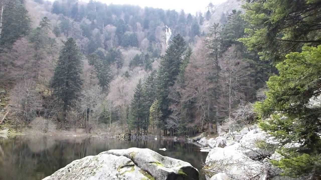 FISCHBOEDLE - vidéo 2 : la berge sauvage du lac au début du printemps (2013) -