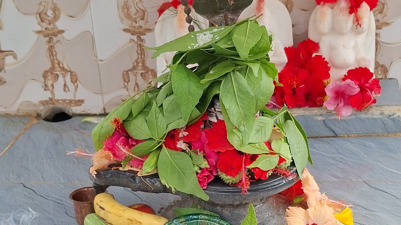 hello friends राधे राधे आप सभी का मेरी night live stream पर स्वागत है