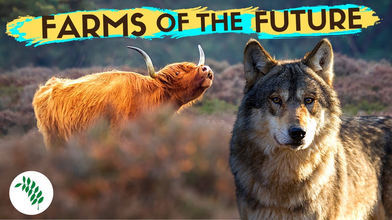 REWILDING BRITAIN - A Greener Future for Agriculture?