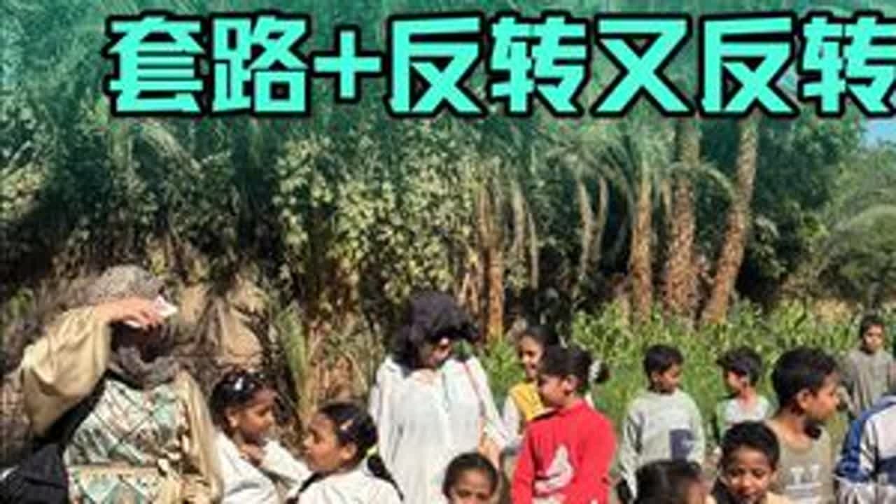 被邀请去卢克索当地人家里做客，没想到一路上反转又反转，食物是有价格的，一起过周末也是标价好的，但是不会提前说，他们说最好的礼物是给钱，好吧，人生体验又多了一项#用抖音记录人生 #埃及旅游 #卢克...