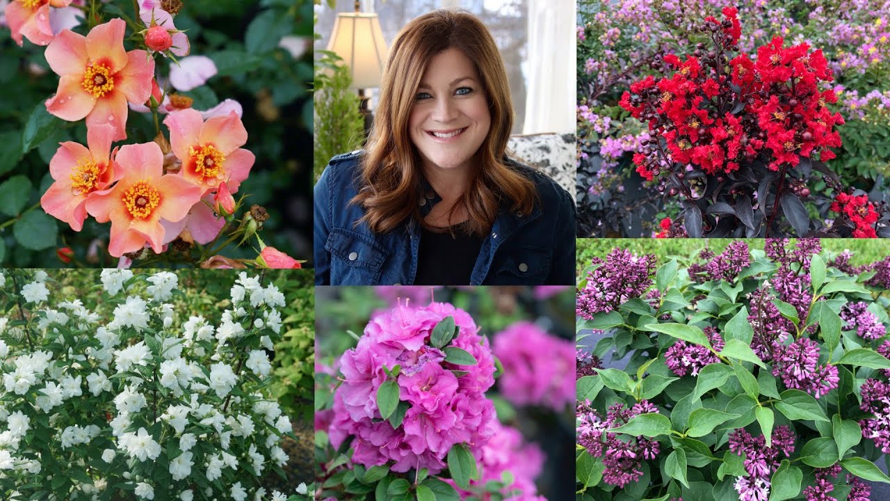 New Shrubs for 2021! (Part 2) 🌿🌲🌸// Garden Answer