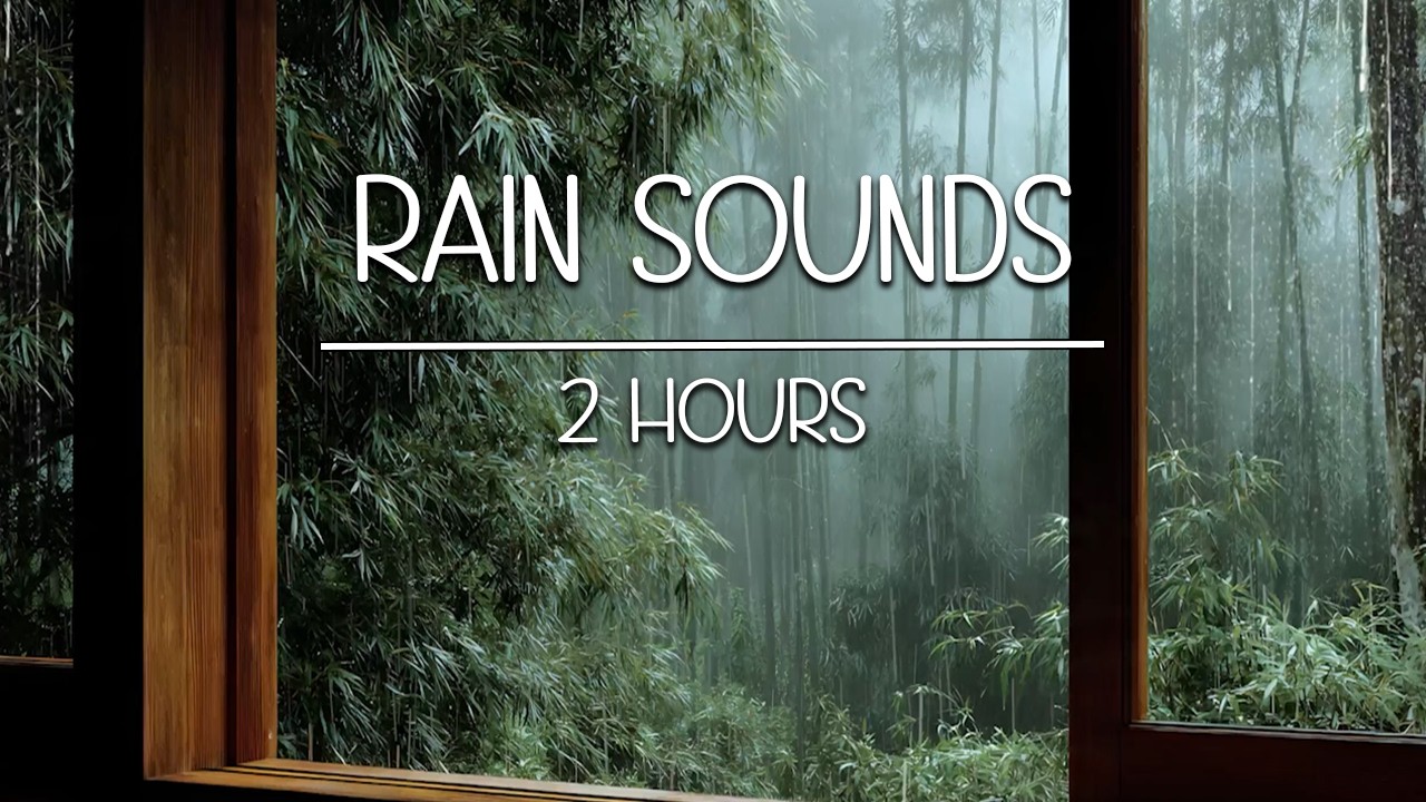 Relax and Sleep Instantly | Rain Sounds Forest Window (2 Hours)