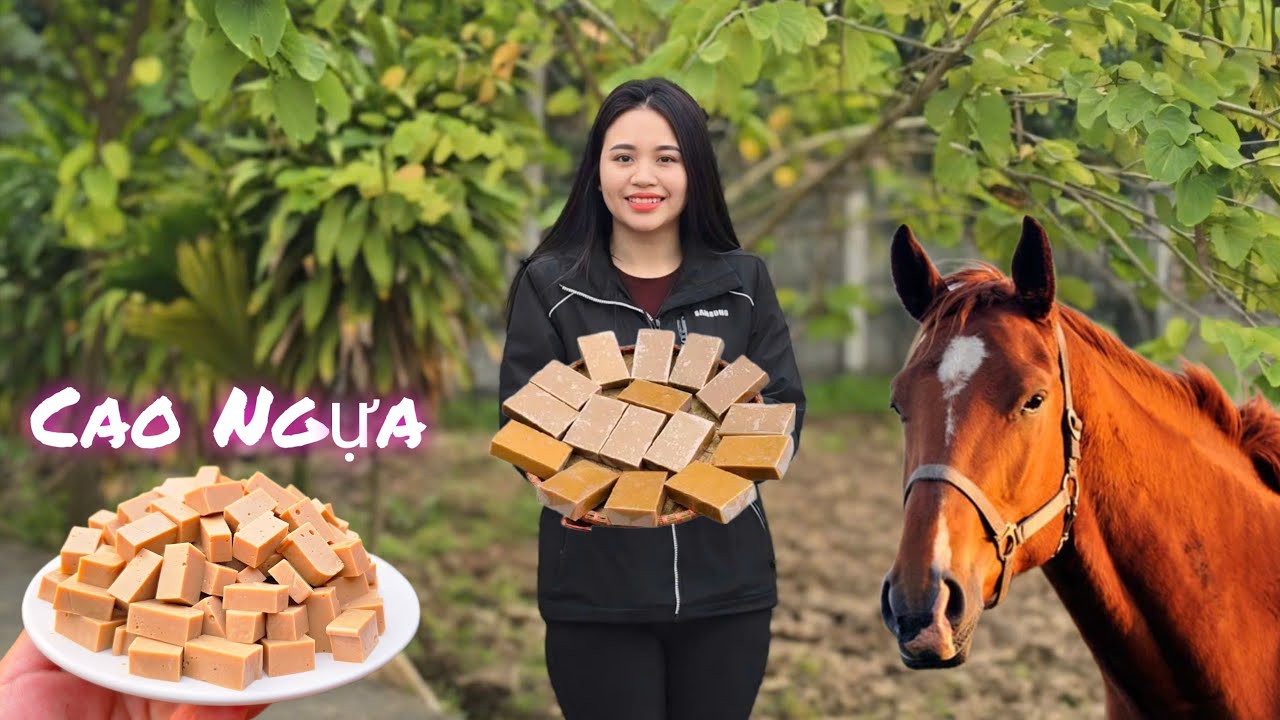 Lần Đầu Em G&aacute;i B&aacute;n Cao Ngựa Nguy&ecirc;n chất  / Nh&acirc;n B&eacute; Nhỏ 