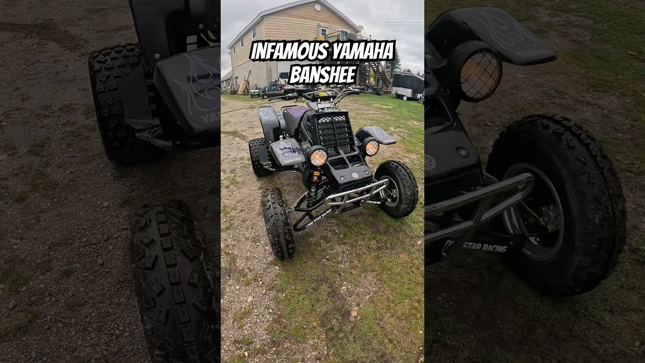 Best quad ever made 