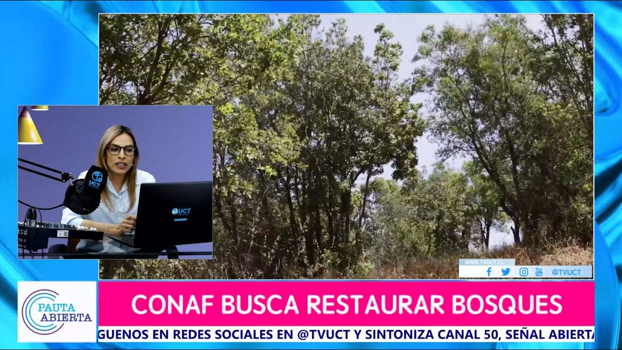 Pauta Abierta, T3,  05 de septiembre de 2022
