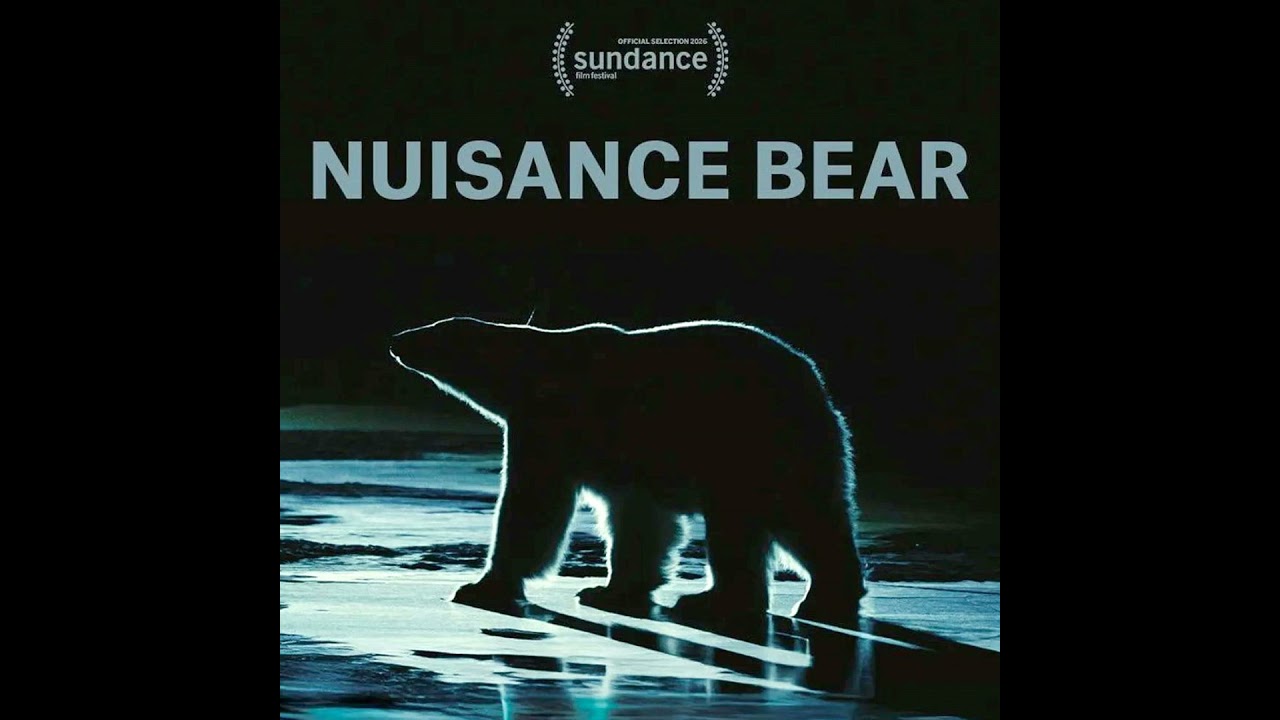Special Report: Andres Landau on Nuisance Bear (2026)