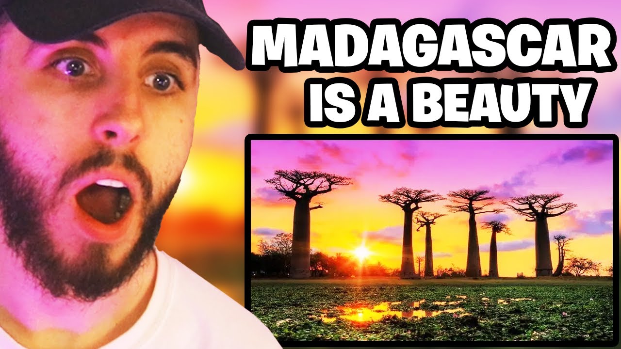 Geography Now! MADAGASCAR Reaction!!