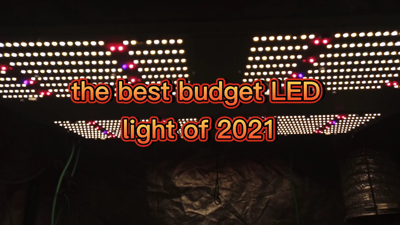 Spider Farmer sf4000 killer best budget quantum boards of 2021!! (review) 😁