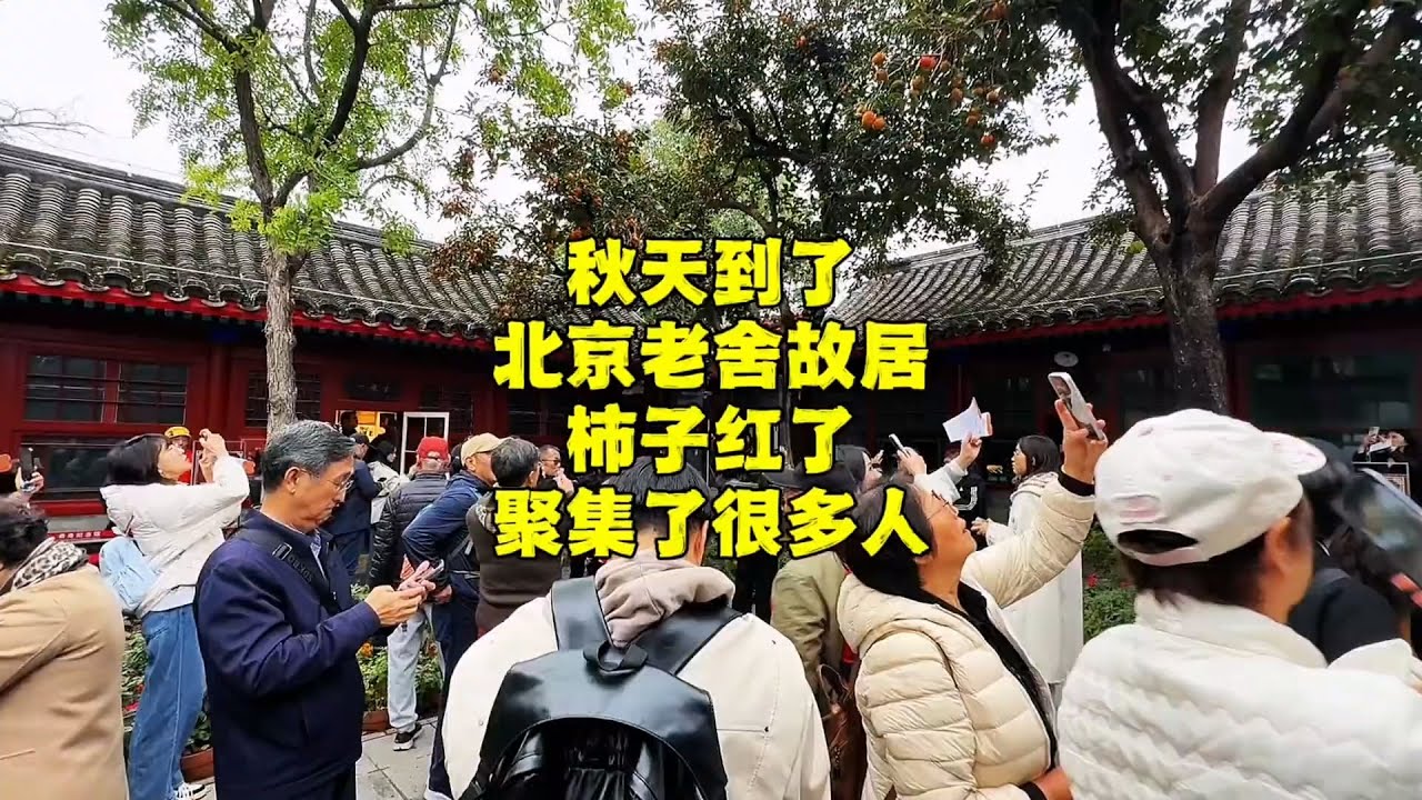 北京深秋一定要来老舍故居，丹柿小院聚集了很多人，看看怎么回事【北京旅游等着瞧】#北京旅游 #北京小吃 #胡同