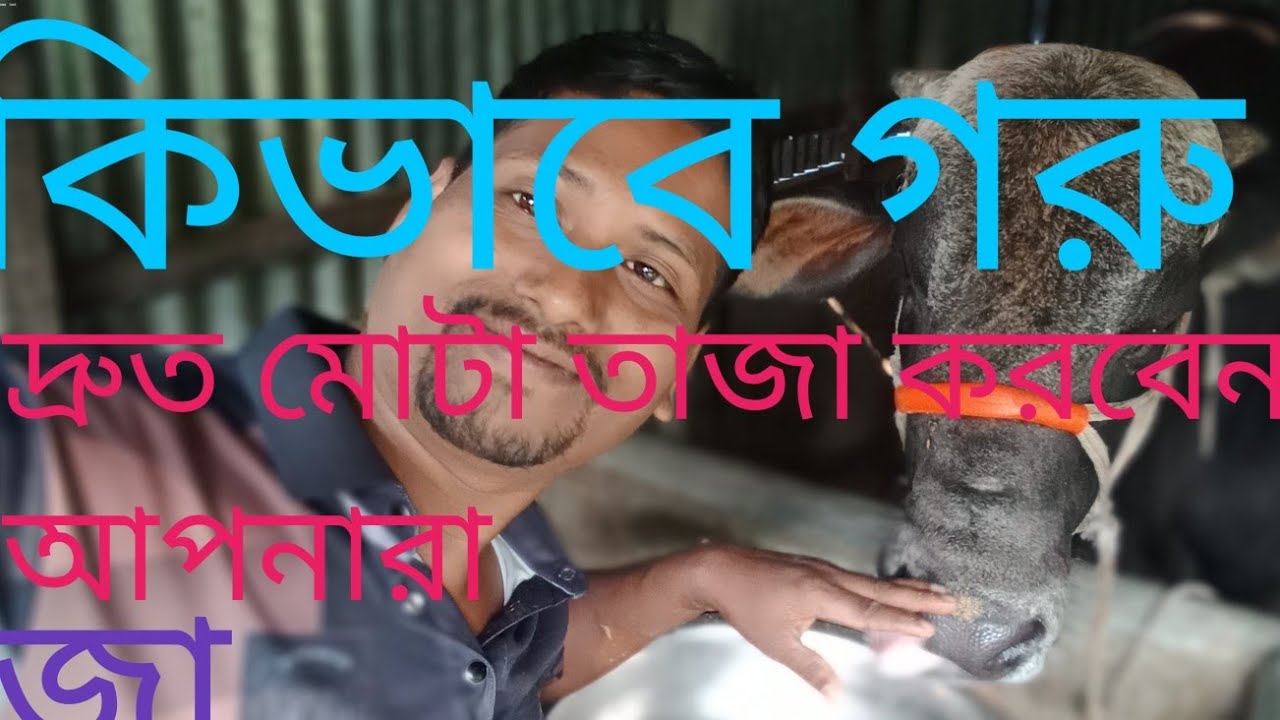৪ ফেব্রুয়ারী, ২০২৫