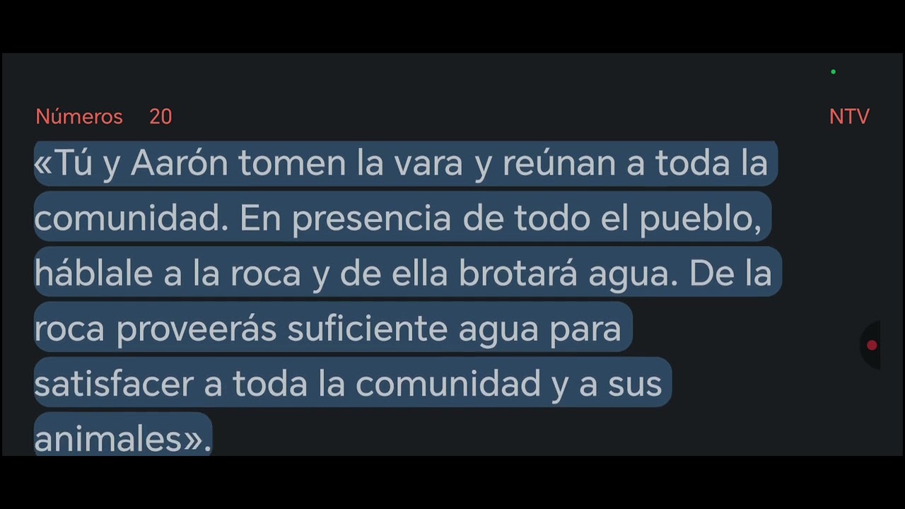 15 Febrero Números 19,20,21