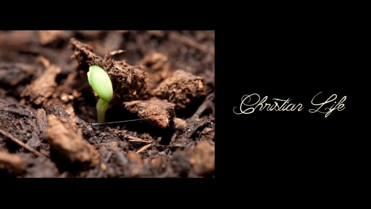 Christian life for youth – Telugu christian Short film